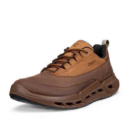 ECCO Biom 720 M Low GTXS sko med GORE-TEX