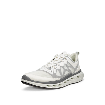 ECCO Biom 720 M sko