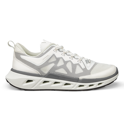 ECCO Biom 720 M sko