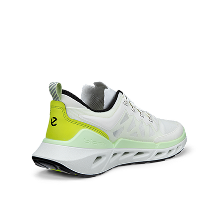 ECCO Biom 720 M sko