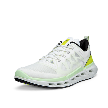 ECCO Biom 720 M sko