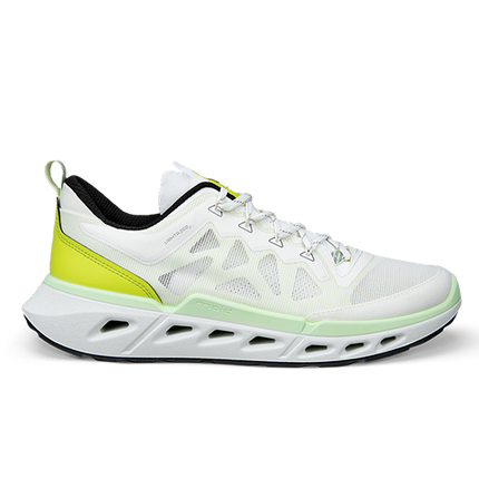ECCO Biom 720 M sko