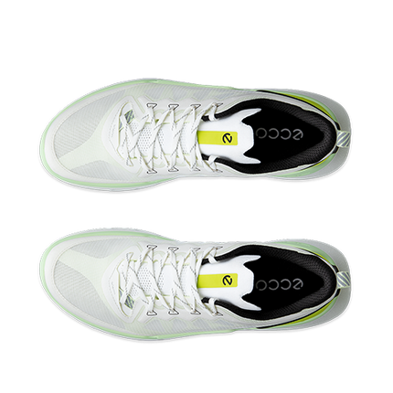 ECCO Biom 720 M sko