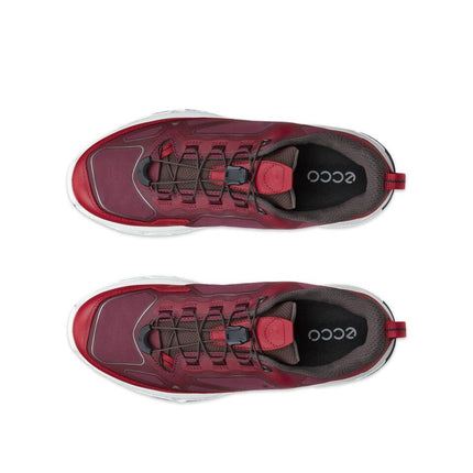 ECCO Receptor XP W sko